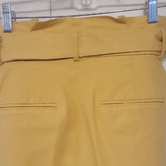 Ann Taylor Yellow Tie-Waist Trousers - Picture 6 of 10